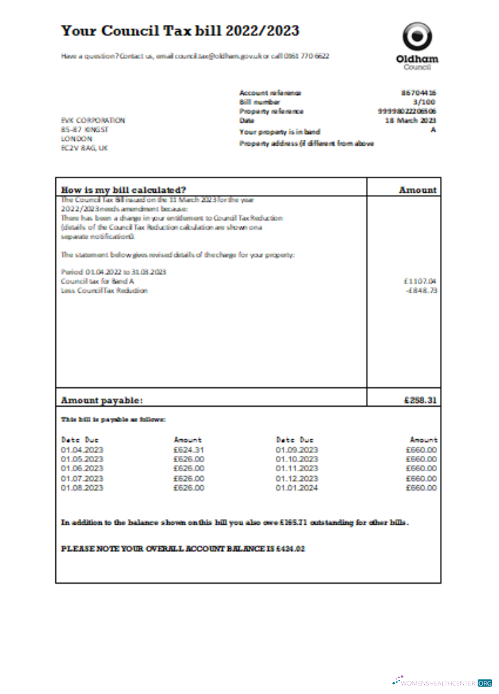 Download Oldham council tax business bill, SCR Photoshop template